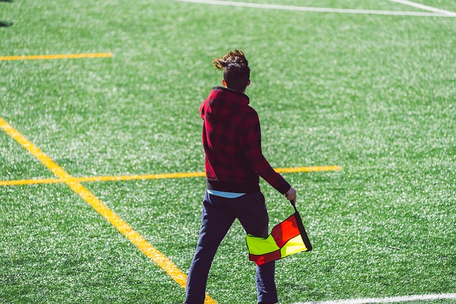 卡登重回巅 卡登重回巅