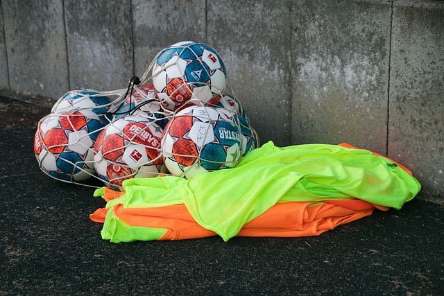 到的多元化 到的多元化