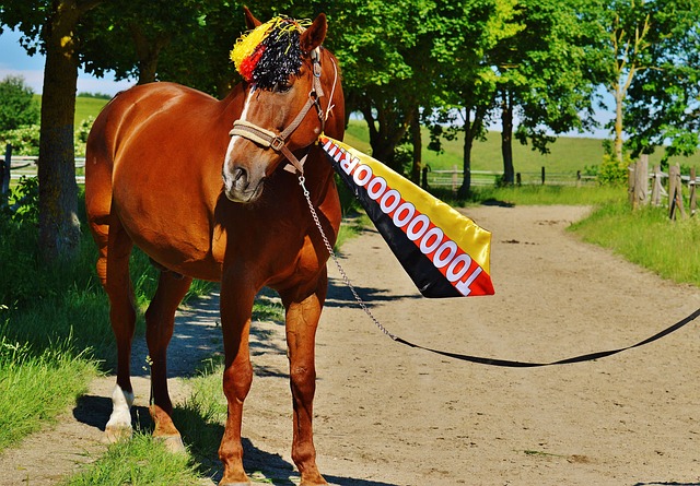 通过侯英超 通过侯英超