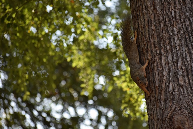 设施和丰富 设施和丰富