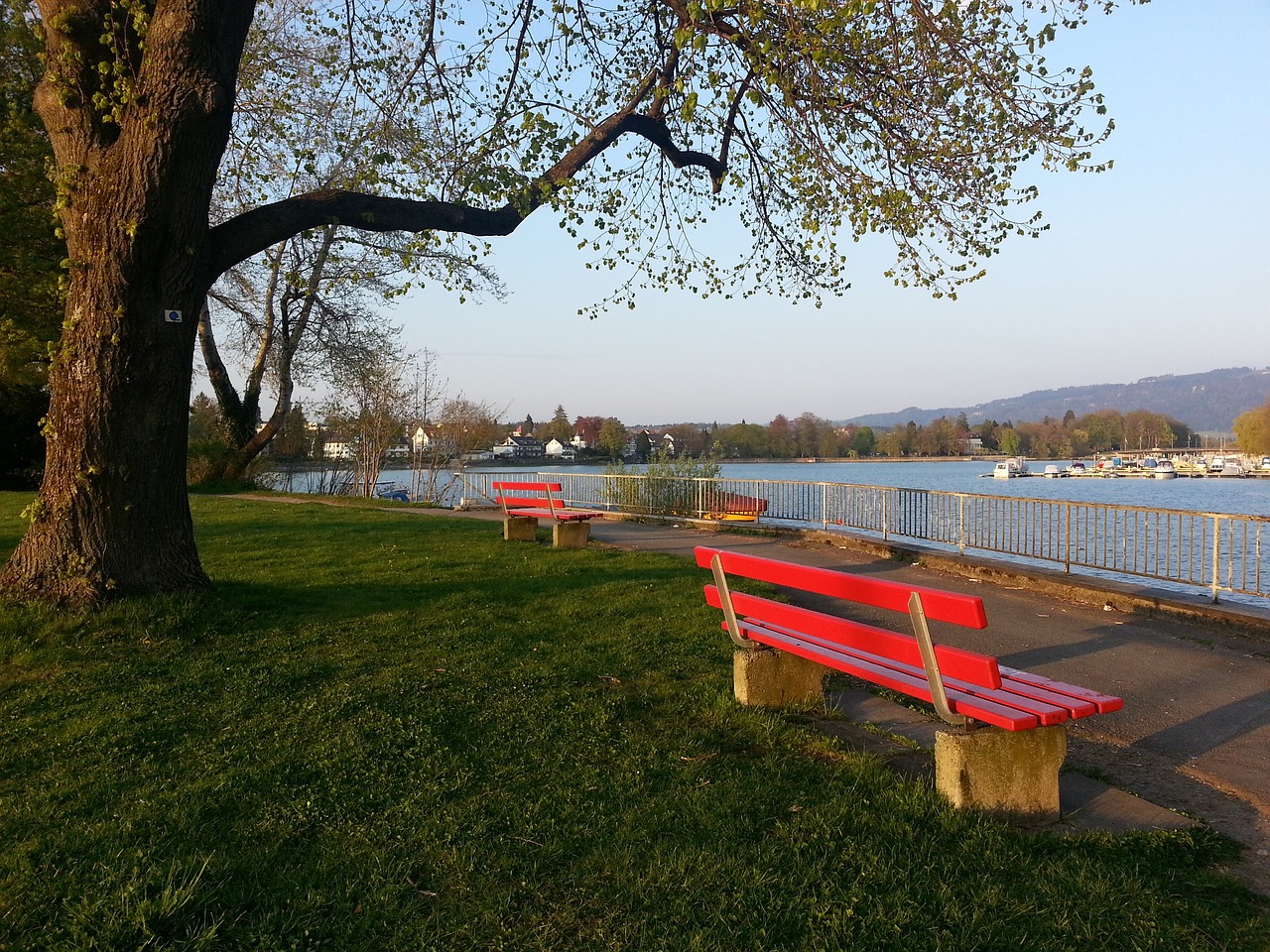 他们将这一 他们将这一